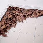"Dispersion", 2002 (Chercher à tâton une trace de son passage) découpe sur feuilles (Magnolia Grandiflora) Environ 1,10 x 1,25 x 0,06 m