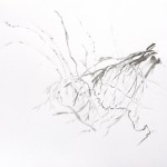 "Si peu de zones étanches", 2014 (série) Encre de chine sur papier, 21 x 29,7 cm
